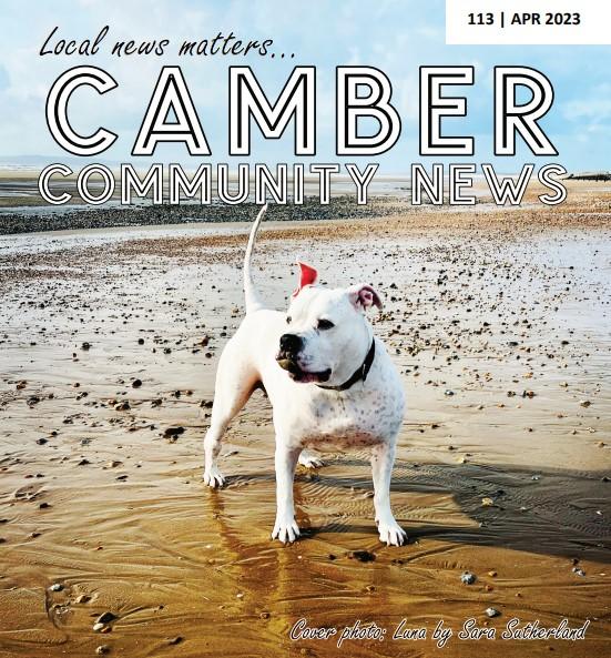 2023 Screenshot 2024-11-15 224012