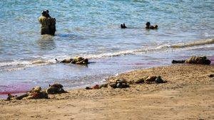 462023504_10164319848357516_8625282144750702832_n