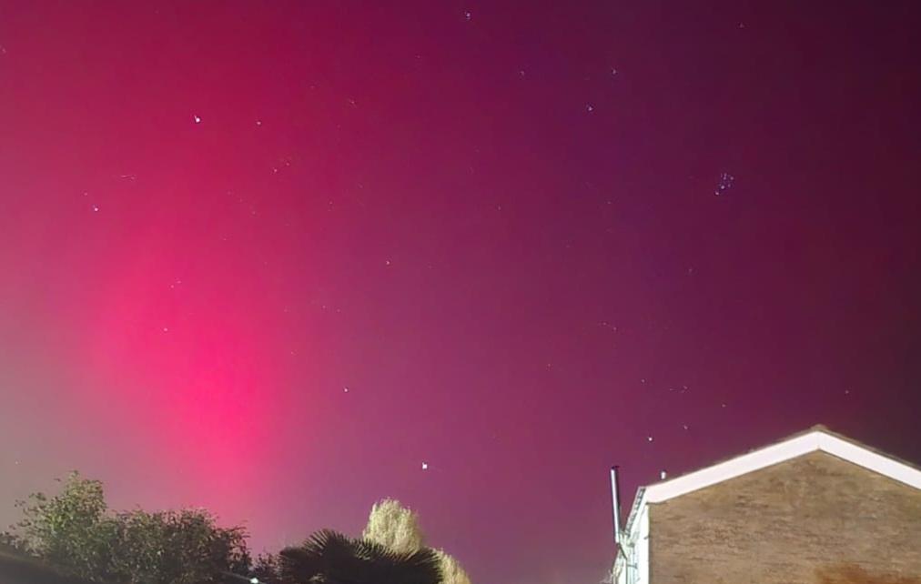 DW IMG-20241010-WA0027