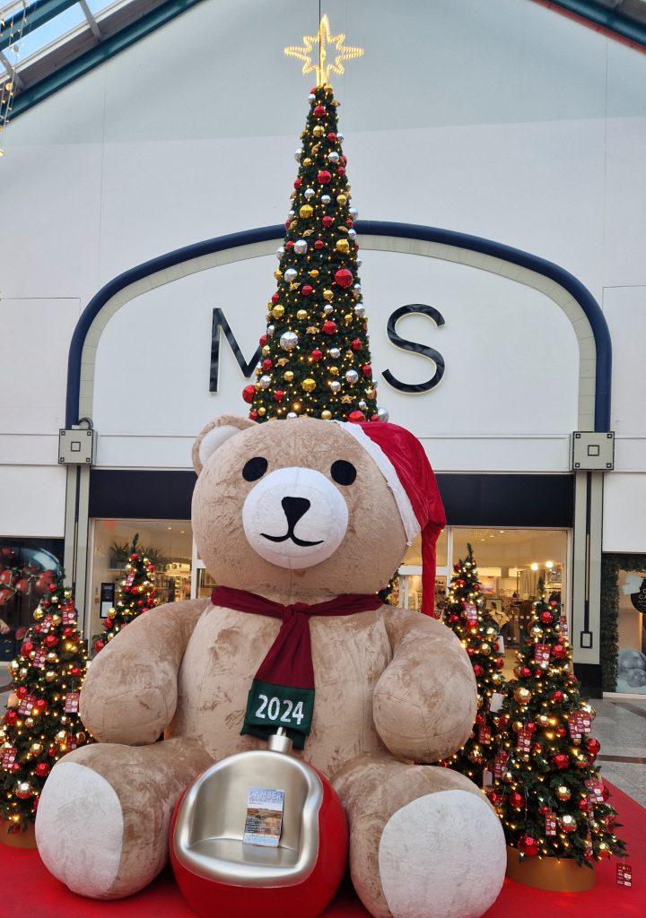 CCN in Hastings with giant Christmas Teddy