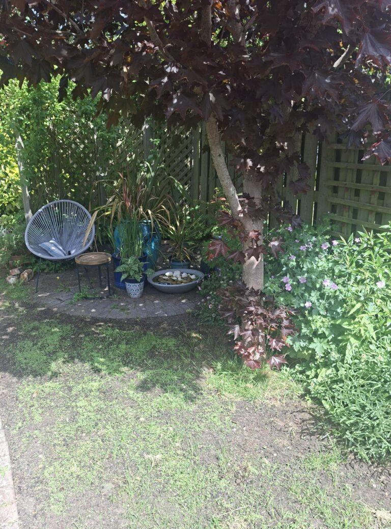 Garden Update – June 2026