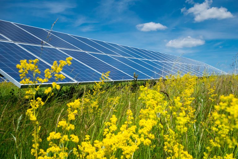South Brooks Solar Farm Update