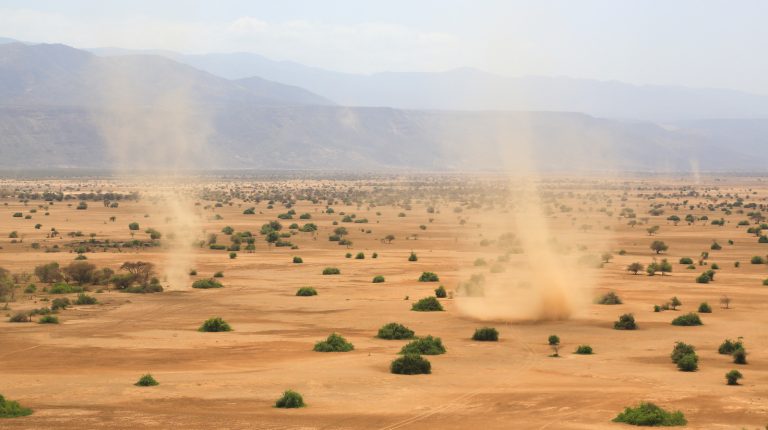 This & That – Dust Devils