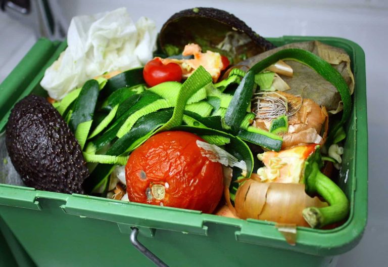 Green Piece – Food Waste Recycling